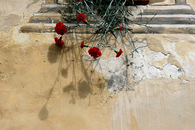 a typical painted window with carnation in Engadin