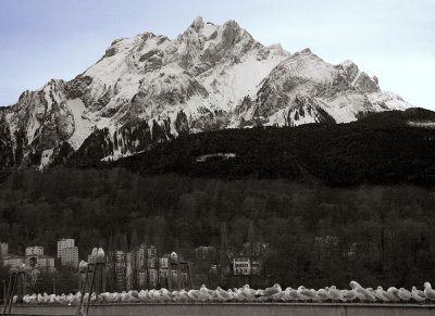 Schoenbuehl with Mount Pilatus