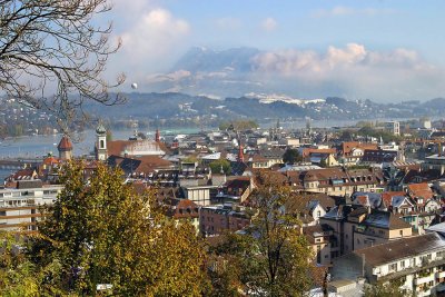 Lucerne early winter