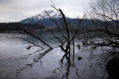 Lake Lucerne with Mount Pilatus