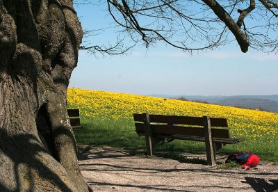 Take a seat and have a rest ...