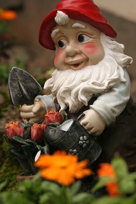 Dwarf is gardening