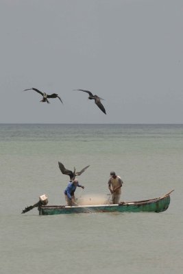 Fisherman and Frigatebirds