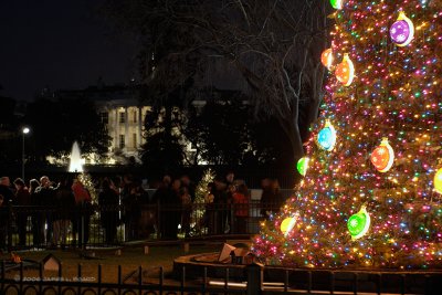 Visitors pass The National Christmas Tree