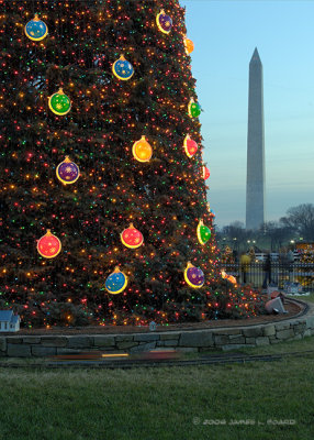 The National Christmas Tree & Washington Monument