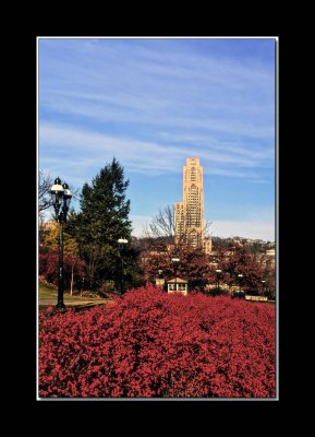 Cathedral of Learning