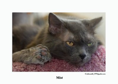 Mist