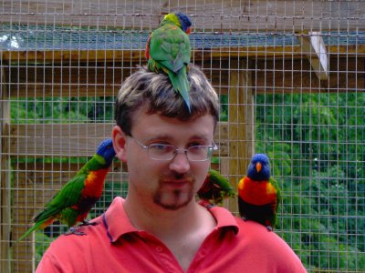 If the bird on my head craps on me I am NOT gonna be a happy camper.jpg(352)