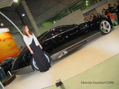 IMG_0003.psd.jpg