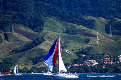 Semana da Vela