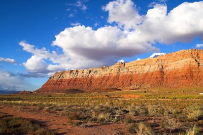 Northern Arizona