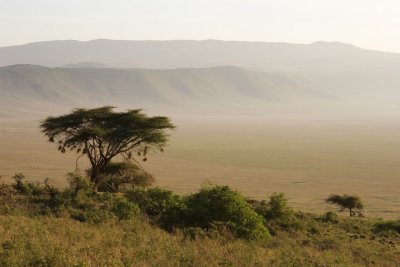 Ngorongoro 3024