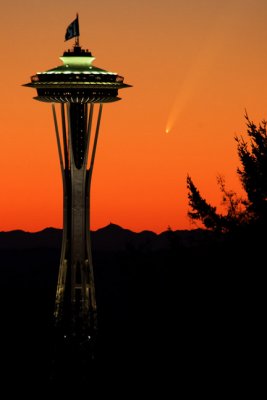 Comet McNaught in Seattle- Vertical