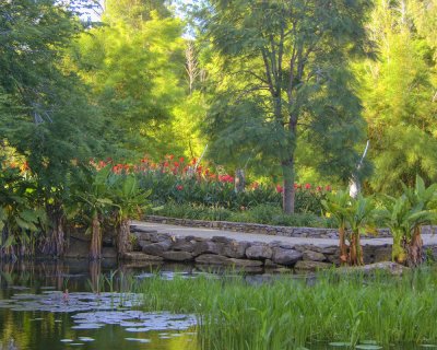 cannes over a pond