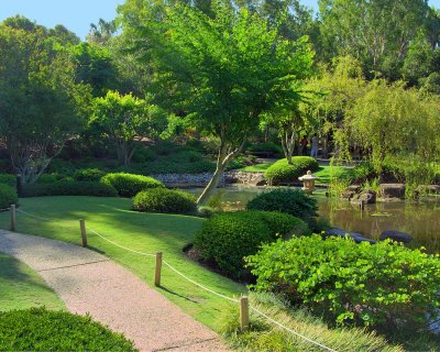 japanese garden