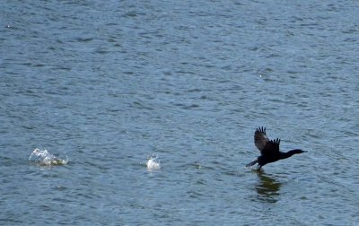 Running Take-off