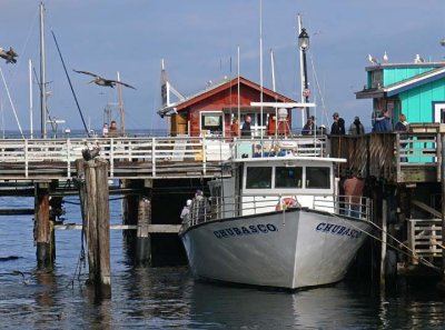 The Monterey Wharf - 2006