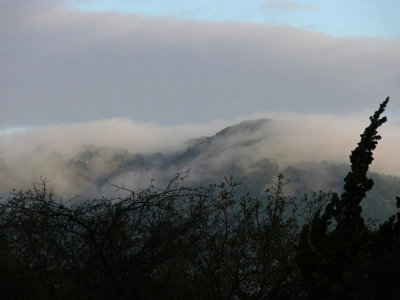 Clouded Mt. Burdell