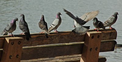 Bench Gathering