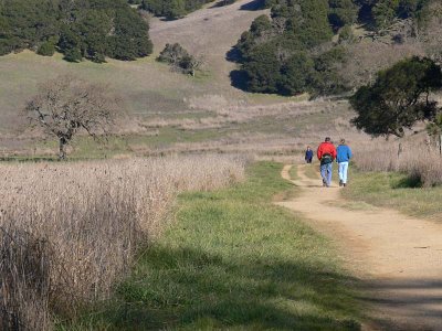 A Meandering Stroll