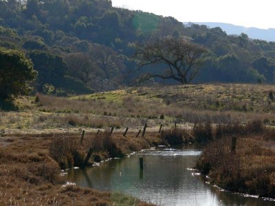 Rush Creek