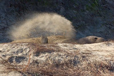 Sand Blast