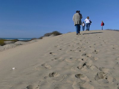 Up the Dune
