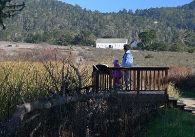 Marsh Lookout