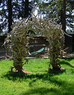 Arch of Antlers