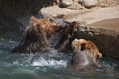 How's my hair look, ok?  No, give your head a good shake. . .