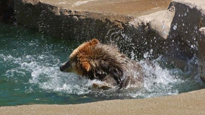 Water Dance