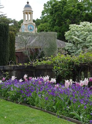 Tulips & Clock