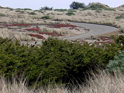 Beach Drive