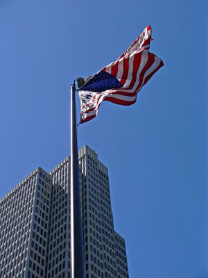 Skyscrapers with Flag