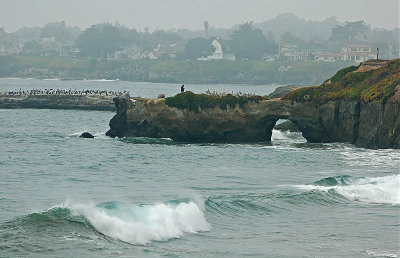 Natural Bridge with Waves