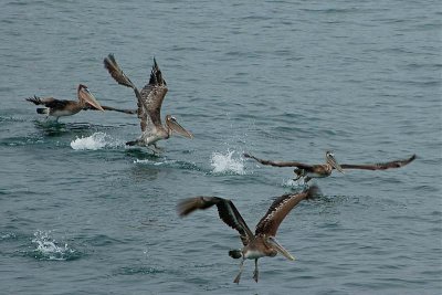 Stages of Take-off