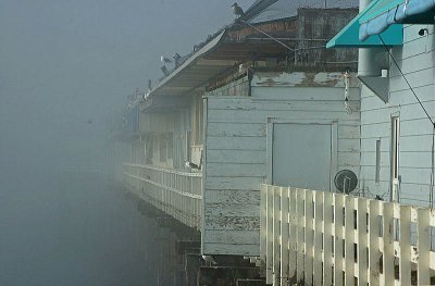 Pier in the Mist