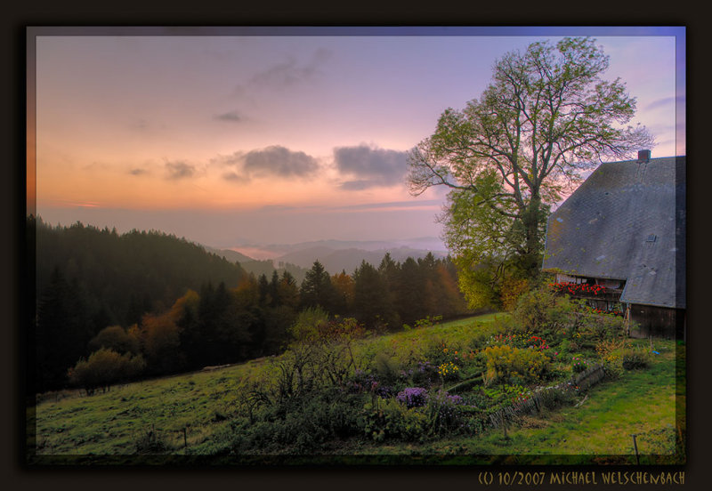 Fall Evening in Black Forest