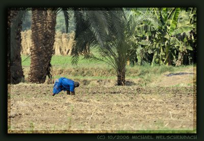 Luxor Agriculture