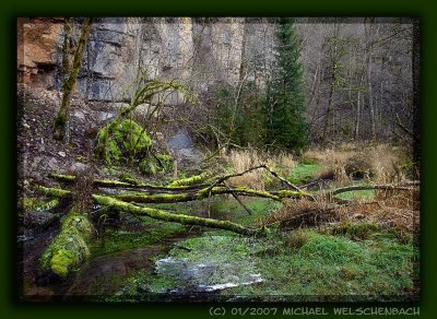 Wutach Canyon, Black Forest