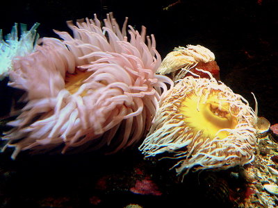UNDERWATER WIND.JPG