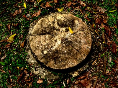 CARACOL .JPG