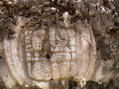 CARACOL JPG