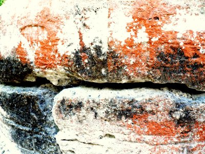 REMNANT COLOUR-TIKAL.JPG