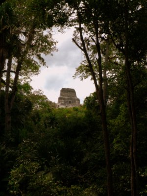 TIKAL TOWER 1V.JPG