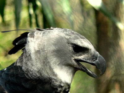 PROFILE.JPG