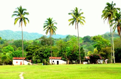 SOCCER PITCH.JPG