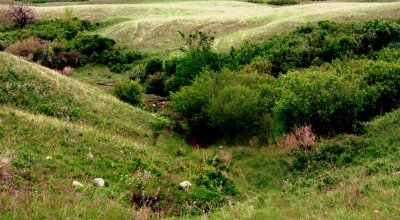 WOODED  COULEE.JPG