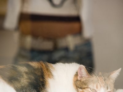 Mimi & Me