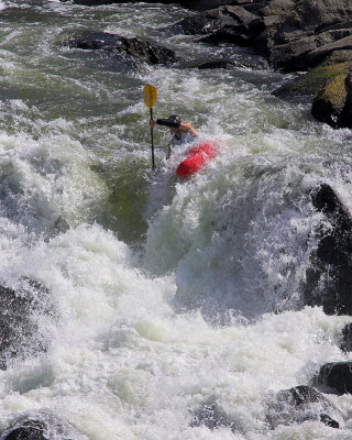 Potomac Whitewater Festival 2007